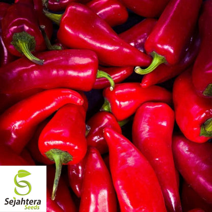 Fresno Chili Hot Pepper Seeds 25+ | Heirloom NON-GMO Vegetable Seeds USA