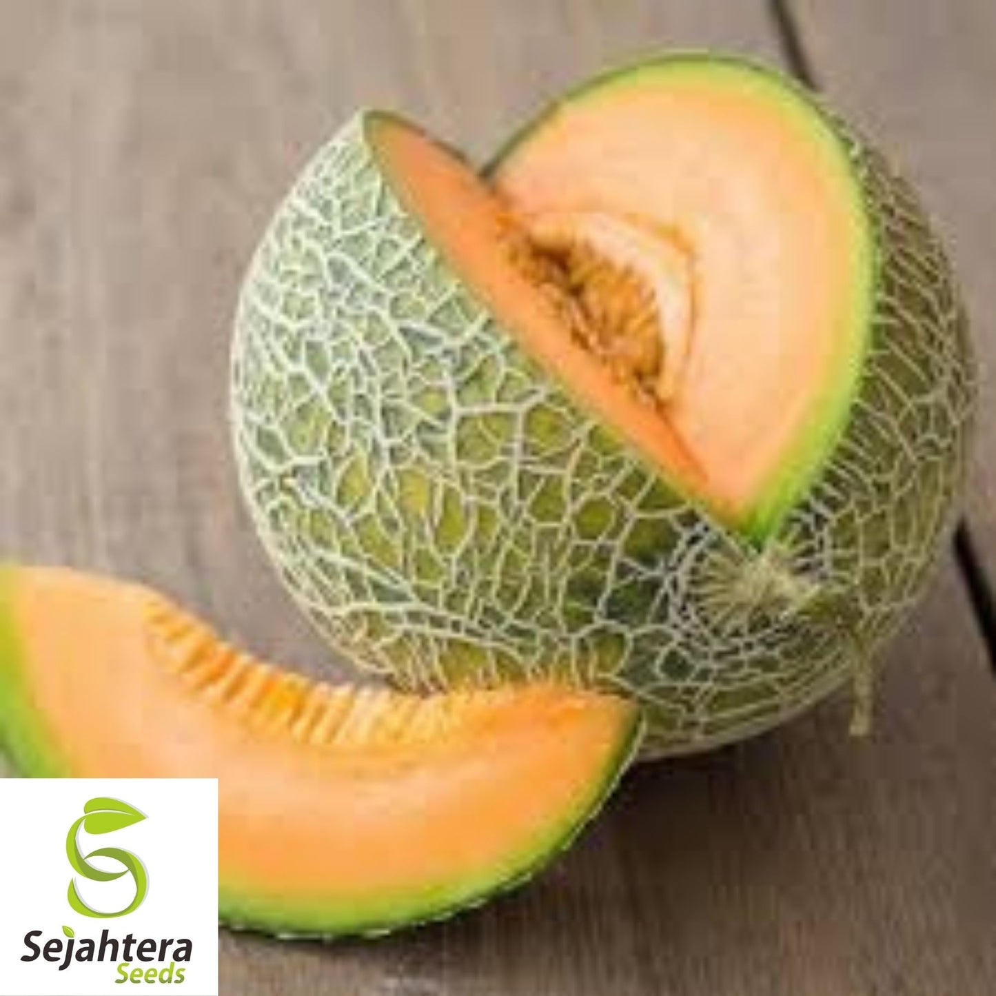Minnesota Midget Cantaloupe Seeds 25+ | Mini Melon Fruit NON-GMO USA