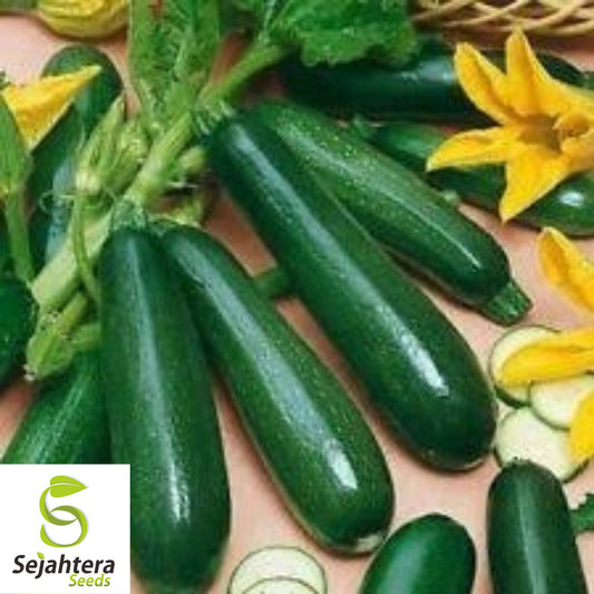 Black Beauty Zucchini Seeds - 10+ Heirloom, Organic, Non-GMO & High-Yield