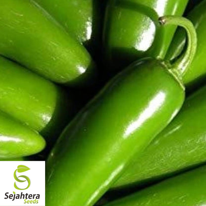 50+ TAM Jalapeno Pepper Seeds - Heirloom, Non-GMO, Mild Heat, High Yield