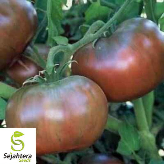 50 Cherokee Purple Tomato Seeds - Heirloom, Non-GMO, Rich Flavor
