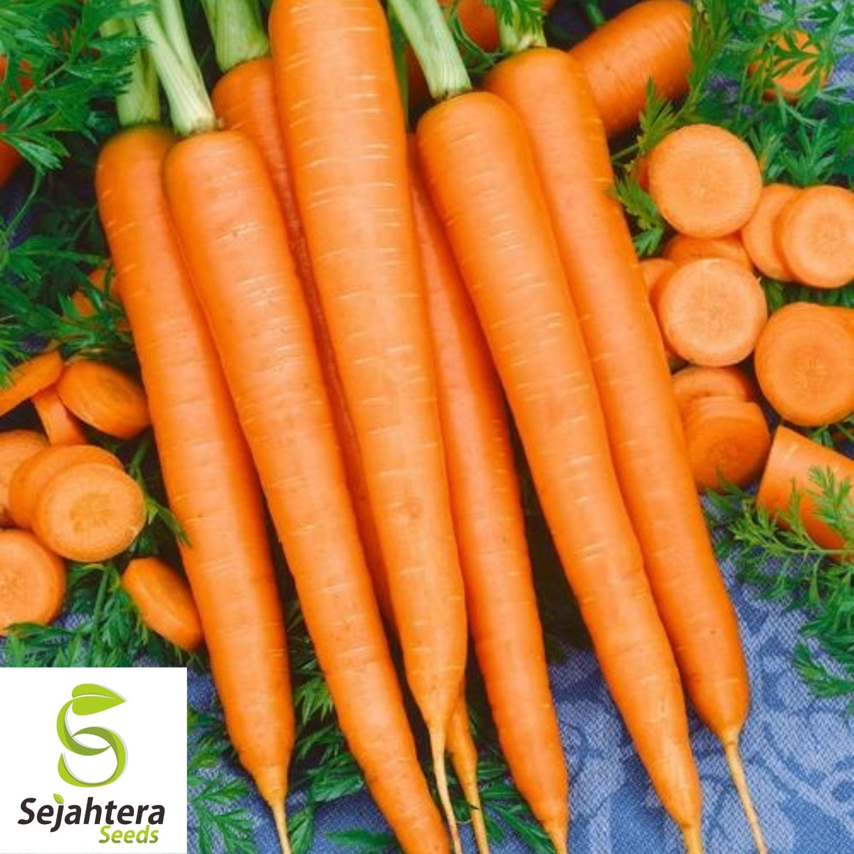 Imperator 58 Carrot Seeds 1000+ | Heirloom Vegetable Garden NON-GMO