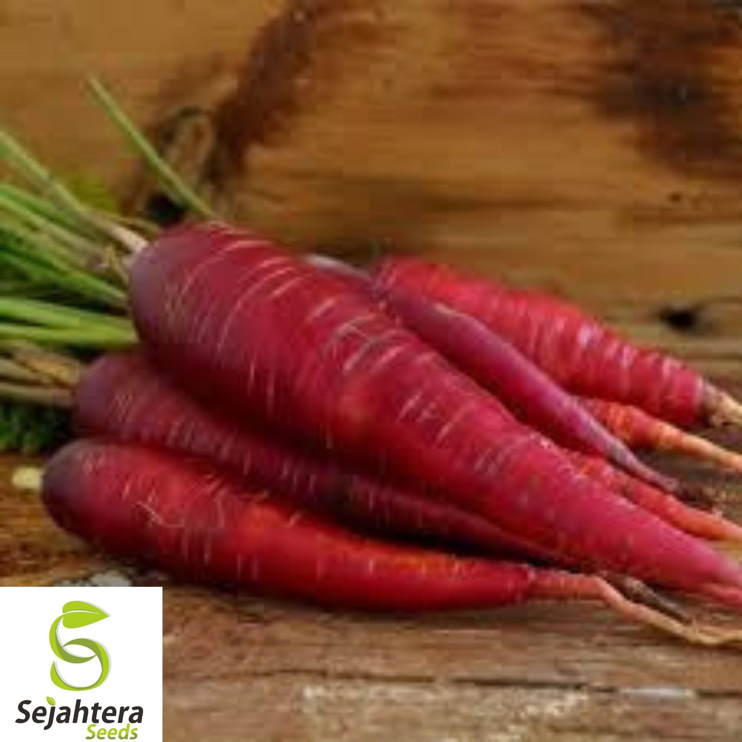 100+ Purple Dragon Carrot Seeds - Heirloom, Organic, Non-GMO, Rare & Sweet