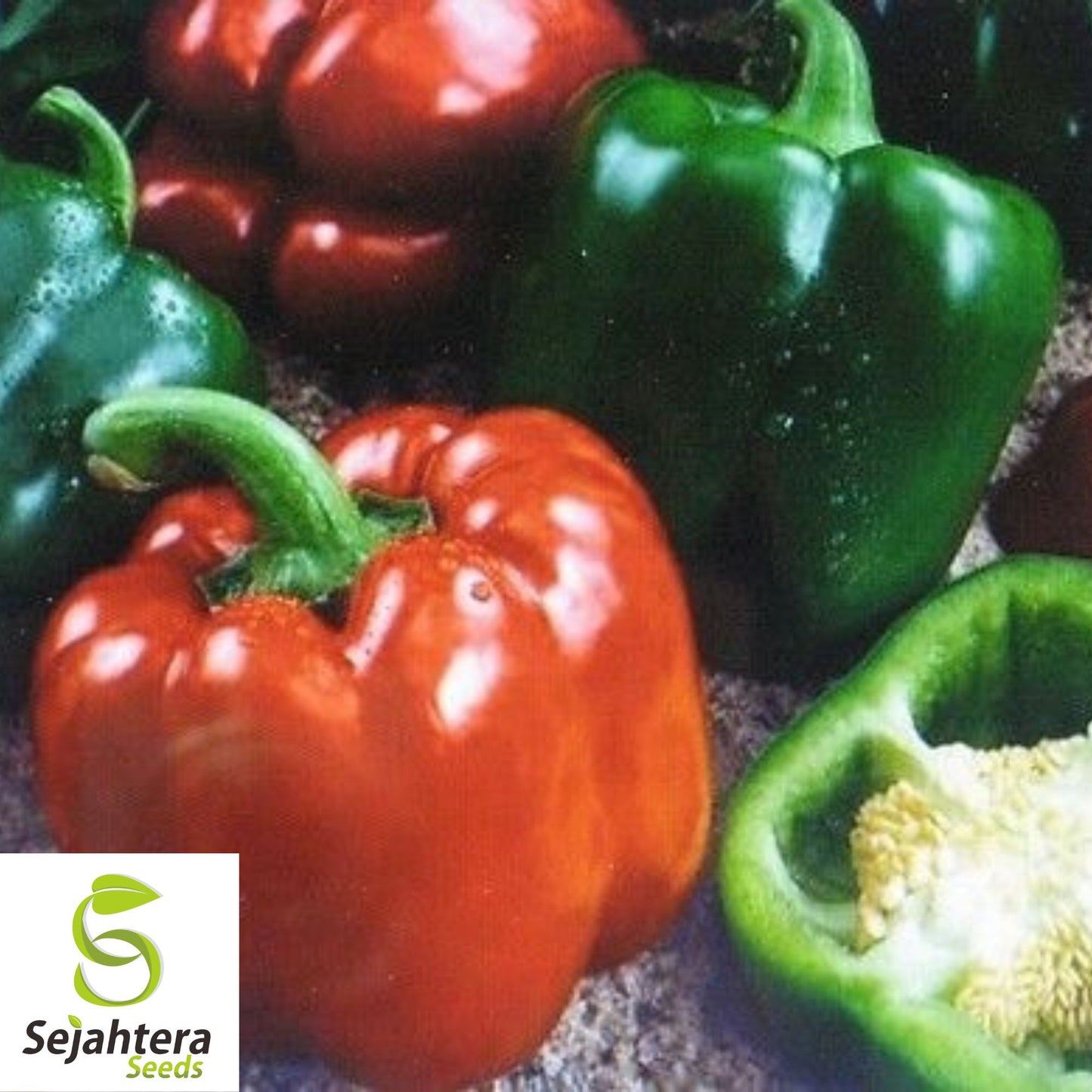 25 Keystone Giant Sweet Pepper Seeds - Non-GMO, Sweet & High-Yield Variety