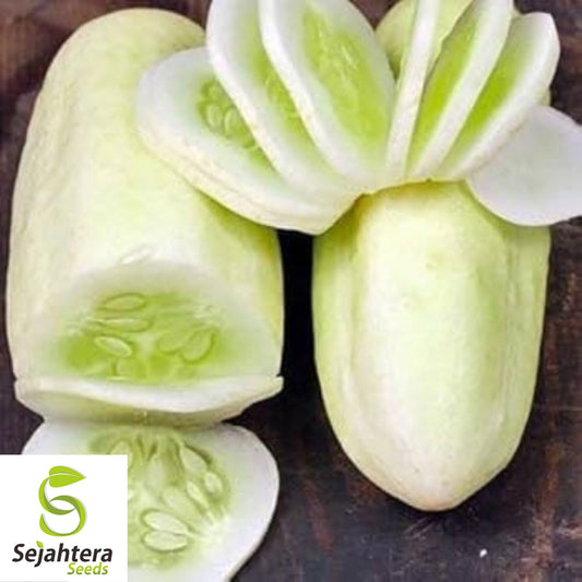 50+ White Wonder Cucumber Seeds - Heirloom, Non-GMO & Unique Variety