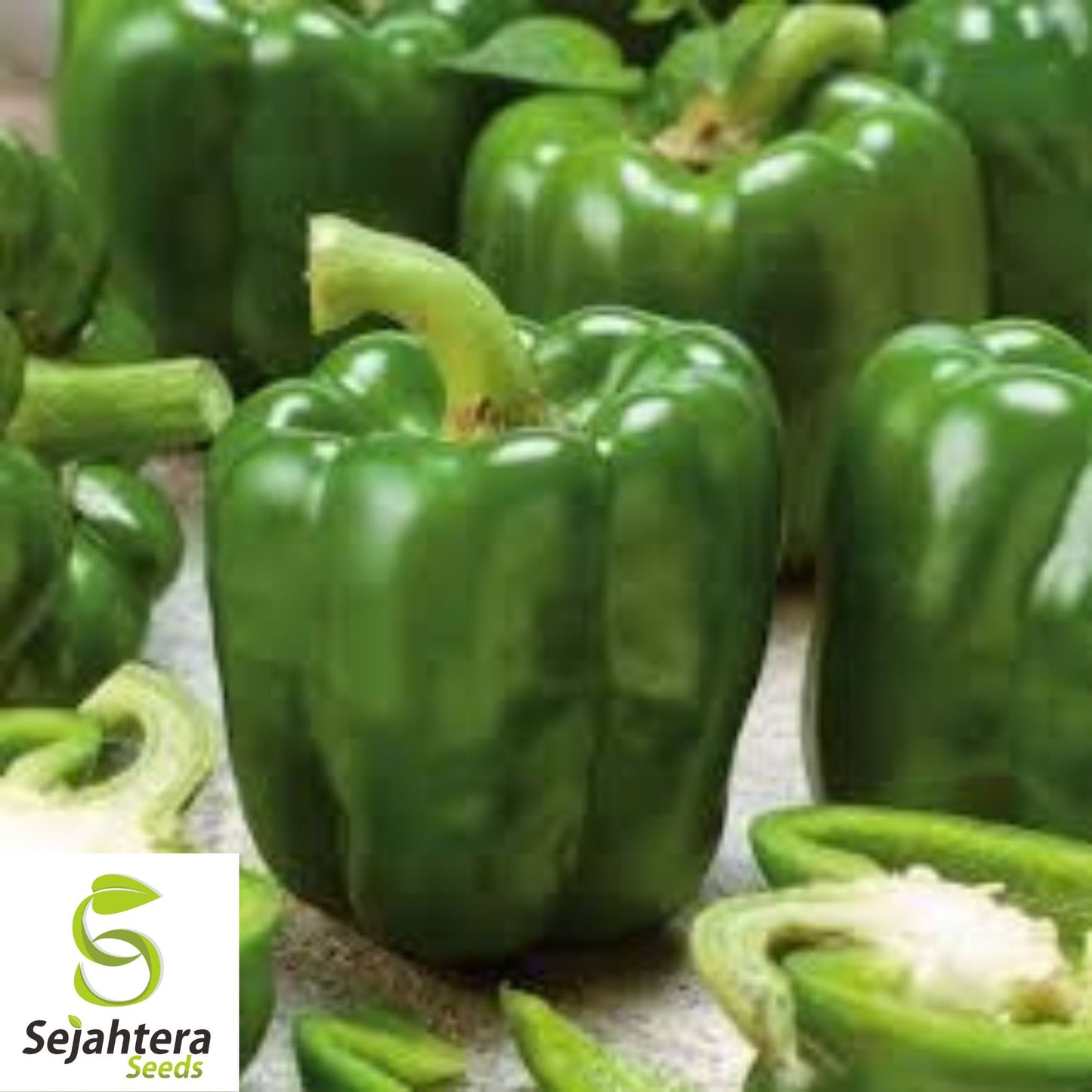 Emerald Giant Bell Pepper Seeds - 120+ Heirloom, Organic, Non-GMO & Sweet