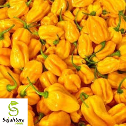 25 Habanero Pepper Seeds - Non-GMO, Extra Spicy & Flavorful Variety