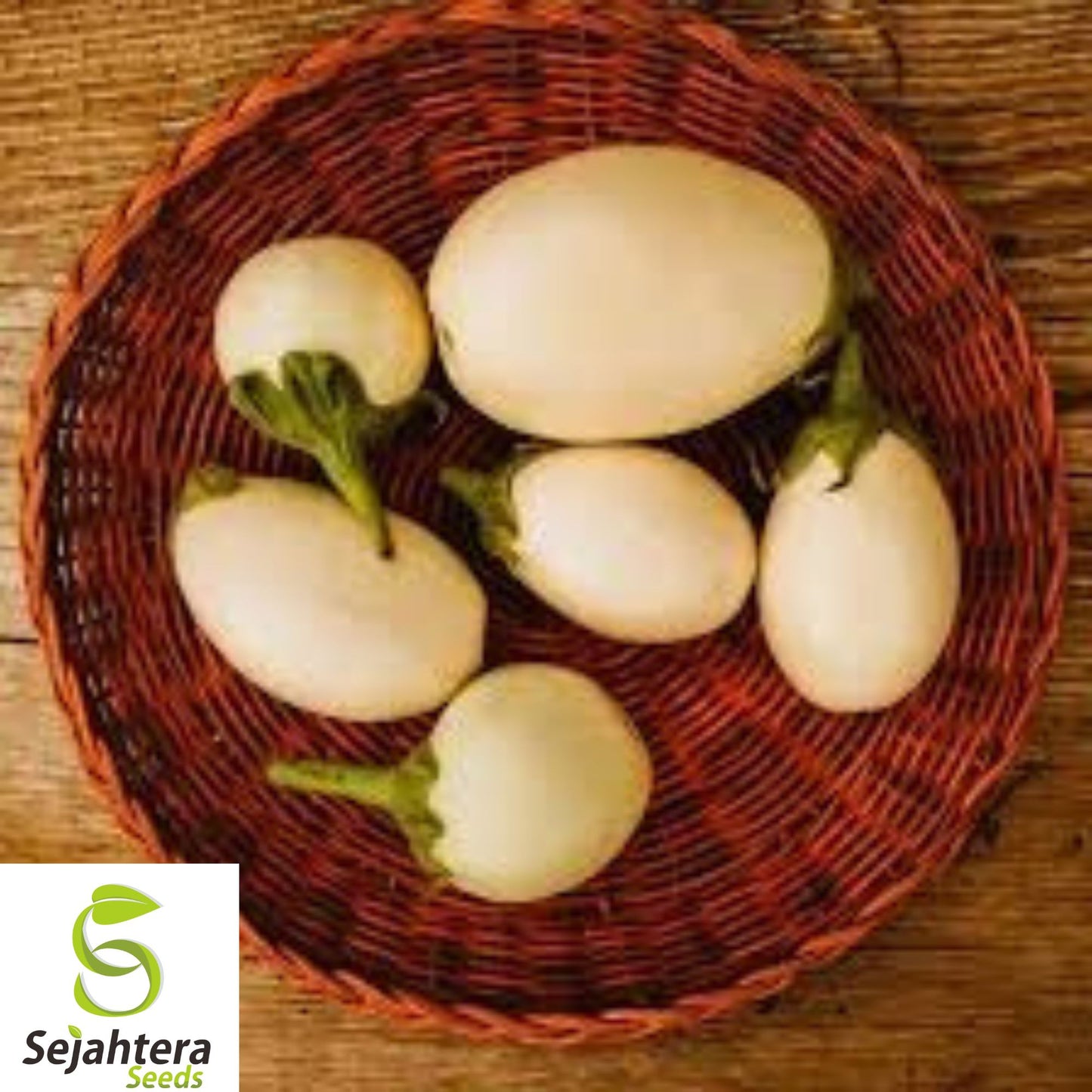 50+ White Egg Eggplant Seeds – Heirloom, Organic, Non-GMO, Rare & High-Yield