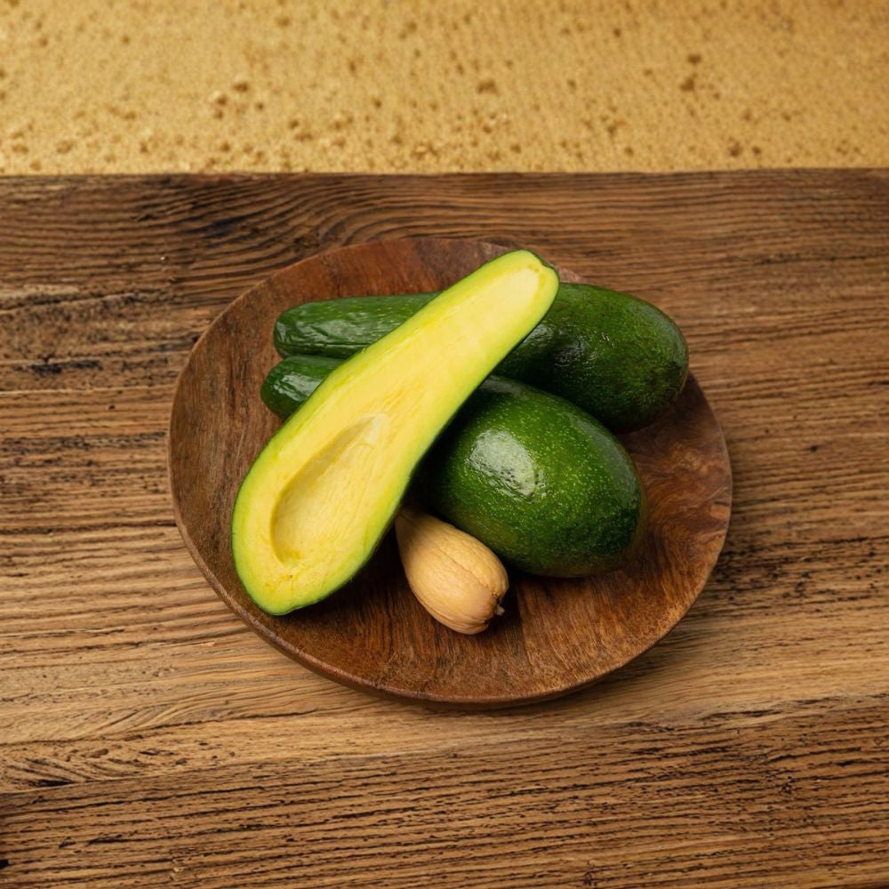 Grafted Russell Avocado Tree – Persea americana Live Fruit Tree | 3 Gallon Pot | 2–3 Feet Tall  Large Florida Variety | Long Fruit | Grafted for True-to-Type Production