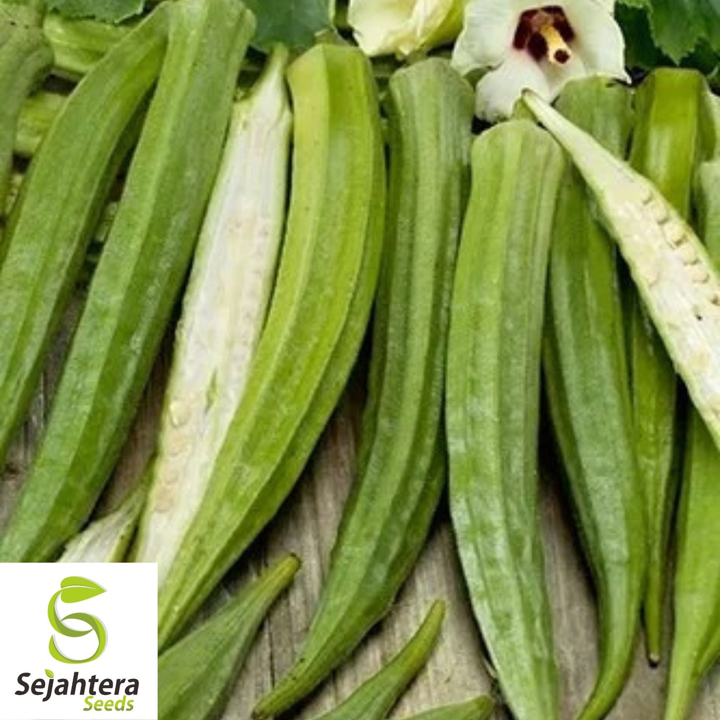 Louisiana Longhorn Cowhorn Okra Seeds - 100+ Heirloom - Non-GMO - High Yield