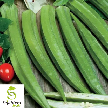 Louisiana Longhorn Cowhorn Okra Seeds - 100+ Heirloom - Non-GMO - High Yield