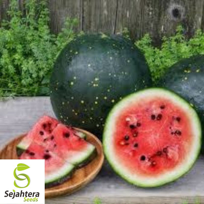 Moon and Stars Red Watermelon Seeds - 10+ Heirloom - Organic & Non-GMO