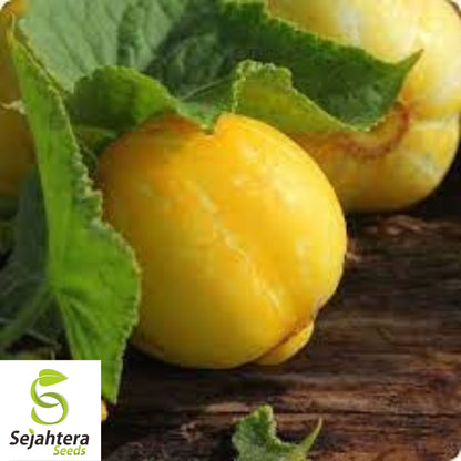 Lemon Cucumber Seeds - 100+ Heirloom, Organic, Non-GMO & Rare