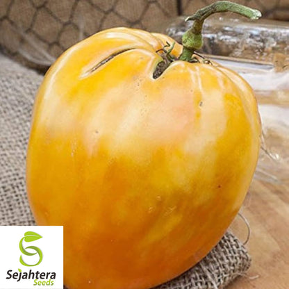 Orange Oxheart Tomato Seeds - 30+ Heirloom, Organic, Non-GMO & Rare