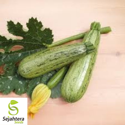 15 Caserta Zucchini Squash Seeds - Summer Vegetable, Non-GMO, High Yield