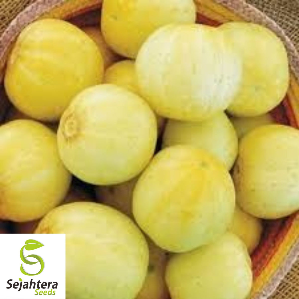 Lemon Cucumber Seeds - 100+ Heirloom, Organic, Non-GMO & Rare