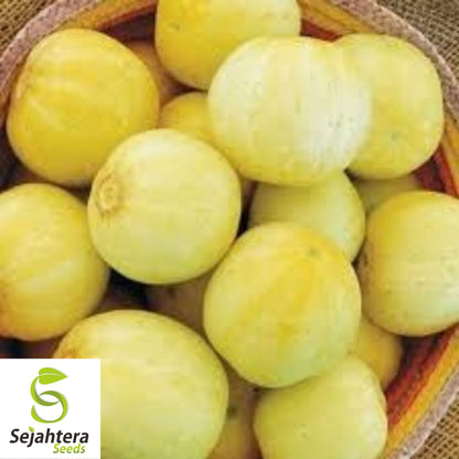 Lemon Cucumber Seeds - 100+ Heirloom, Organic, Non-GMO & Rare