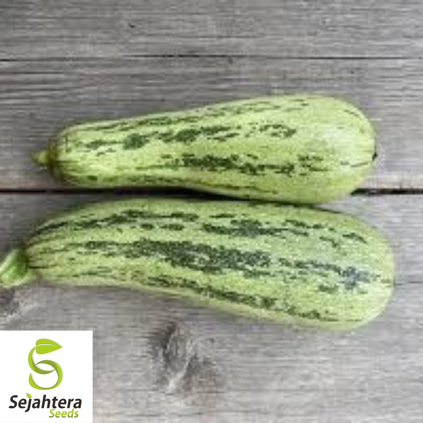 15 Caserta Zucchini Squash Seeds - Summer Vegetable, Non-GMO, High Yield