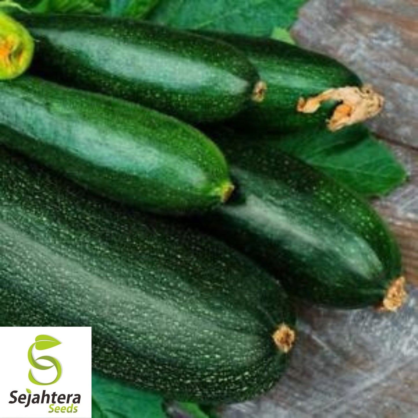 15 Caserta Zucchini Squash Seeds - Summer Vegetable, Non-GMO, High Yield