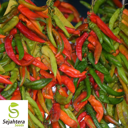 25 Hatch Rattlesnake Pepper Seeds - Non-GMO, Bold & Spicy Southwestern Variety