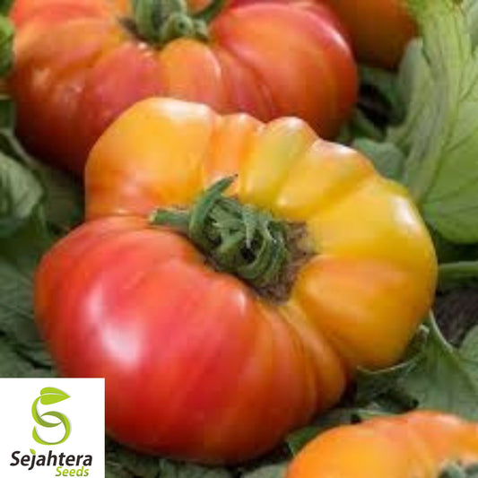 30+ Amana Orange Tomato Seeds - Heirloom, Organic, Non-GMO, Rare & Juicy Variety