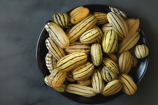 Delicata Winter Squash Delicata Squash (Cucurbita pepo var. Delicata)