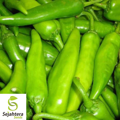 25 Hatch Rattlesnake Pepper Seeds - Non-GMO, Bold & Spicy Southwestern Variety