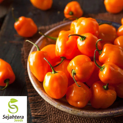 25 Habanero Pepper Seeds - Non-GMO, Fiery & Flavorful Variety