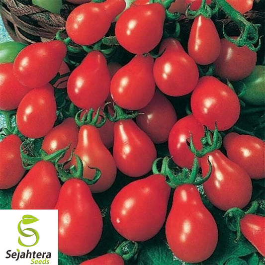 120+ Red Pear Tomato Seeds - Heirloom, Non-GMO, Juicy & Sweet Miniature Tomatoes