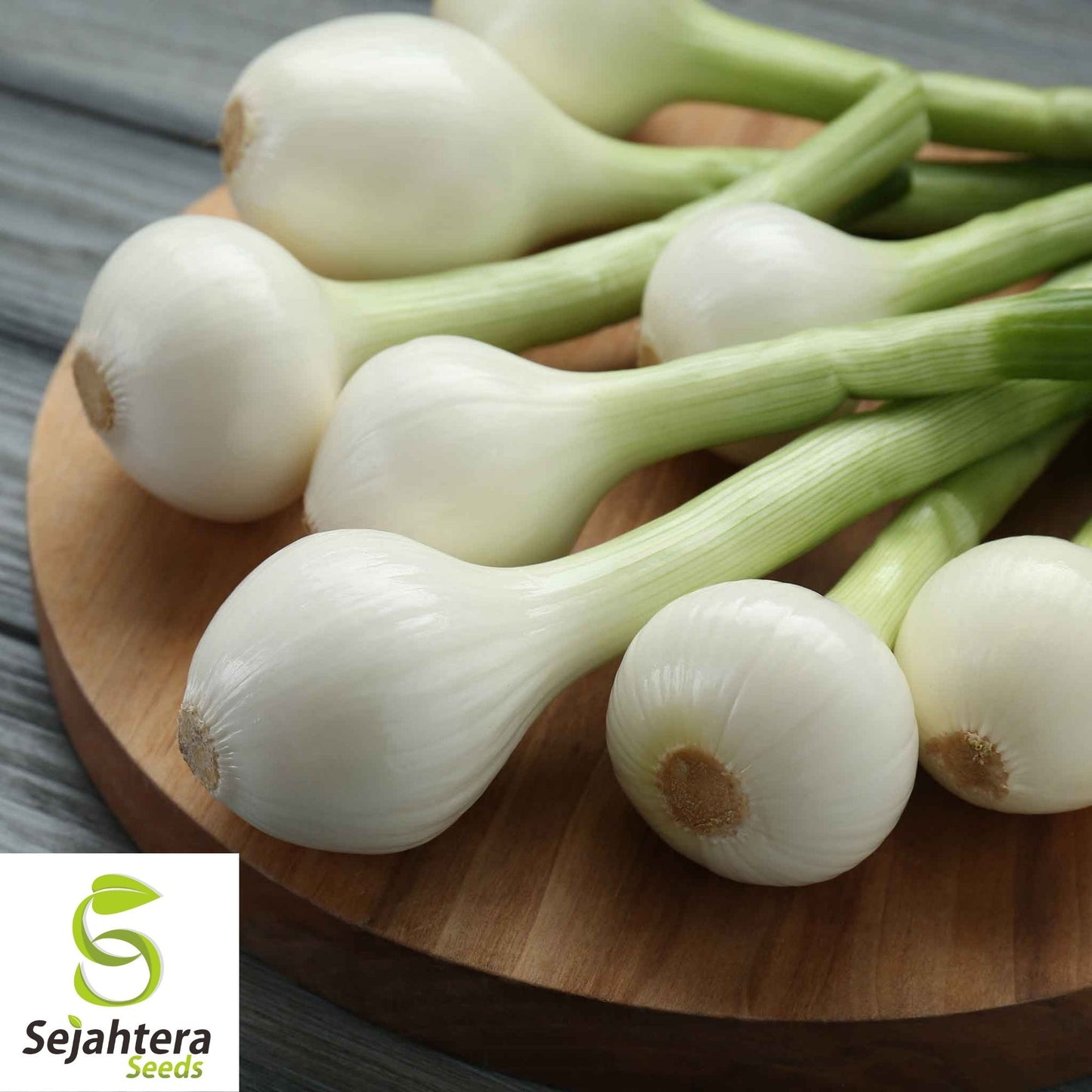 Crystal White Wax Onion Seeds 200+ | NON-GMO Vegetable Garden USA