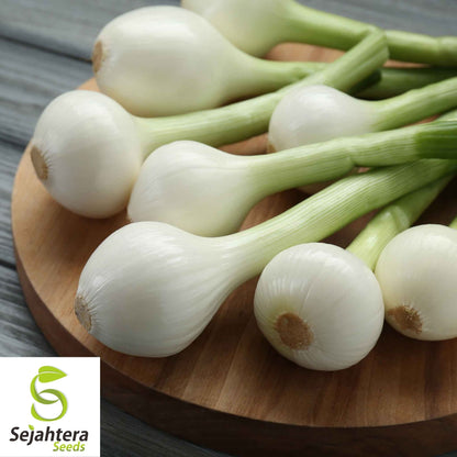 Crystal White Wax Onion Seeds 200+ | NON-GMO Vegetable Garden USA