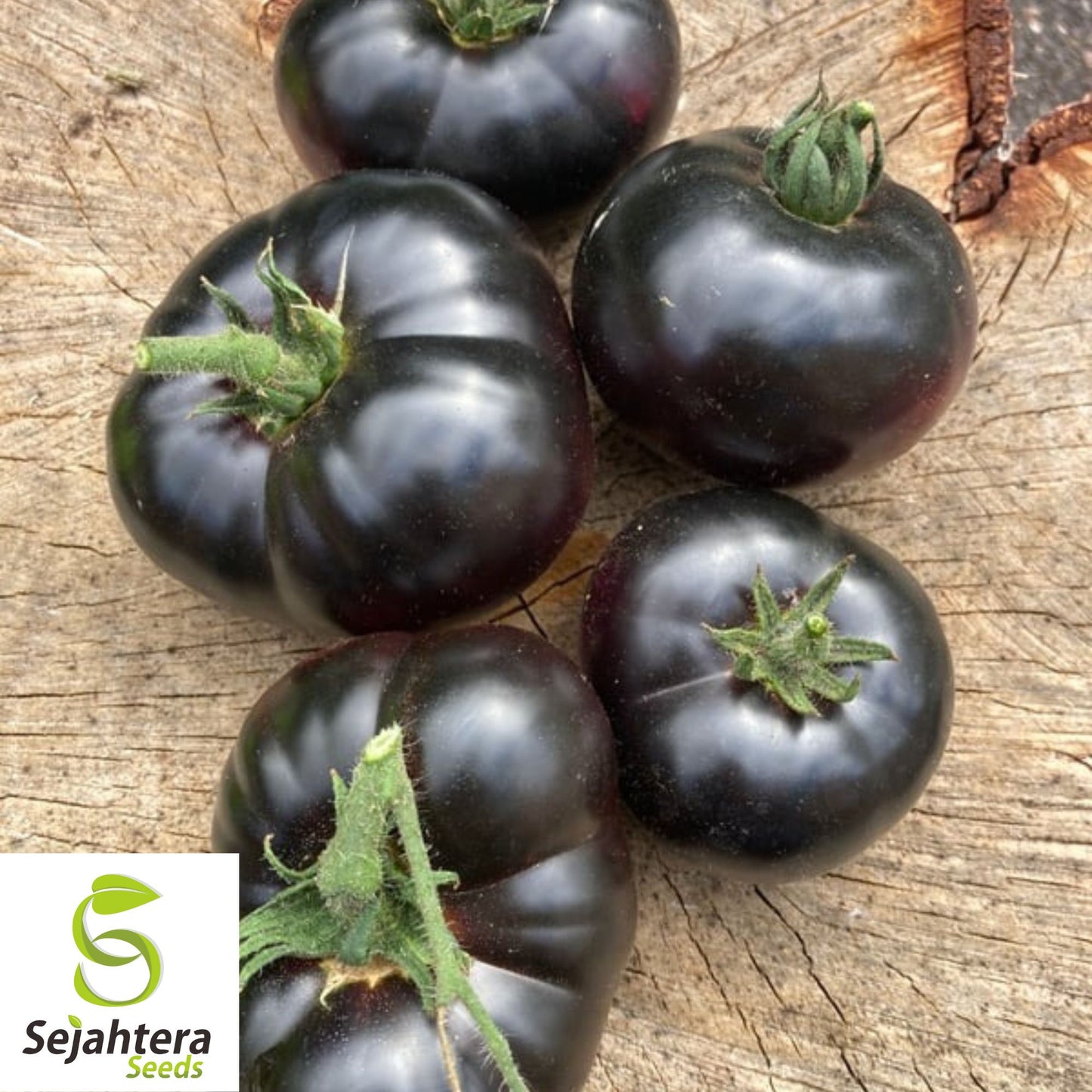 Black Sea Man Tomato Seeds - 30+ Heirloom, Organic, Non-GMO & Rare