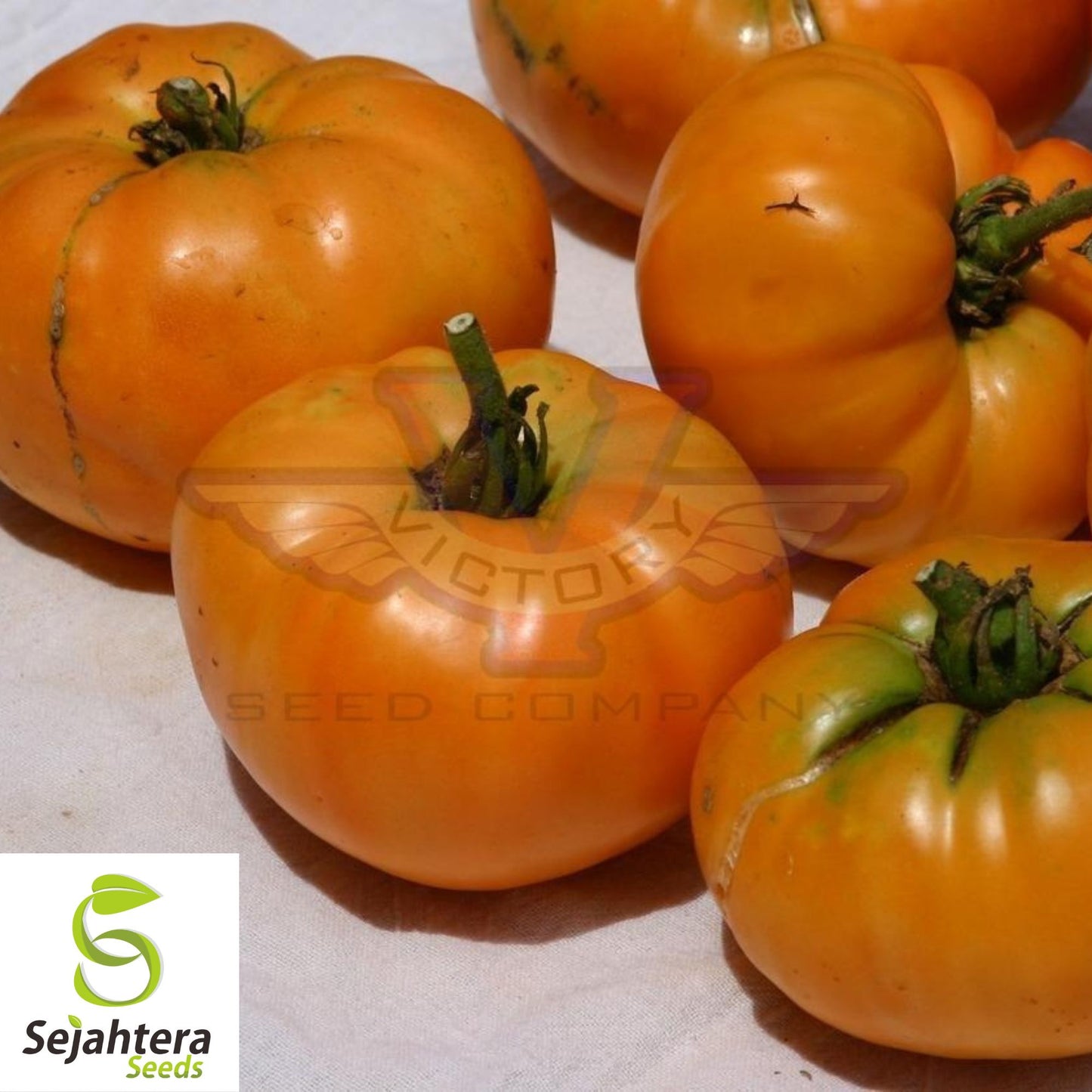 Kellogg's Breakfast Tomato Seeds - 10+ Heirloom, Organic, Non-GMO & Rare