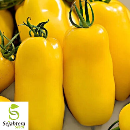 30 Banana Legs Paste Tomato Seeds - Non-GMO, Sweet & Unique Heirloom Variety