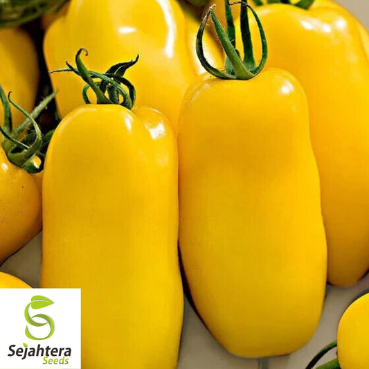 30 Banana Legs Paste Tomato Seeds - Non-GMO, Sweet & Unique Heirloom Variety