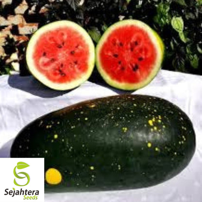 Moon and Stars Red Watermelon Seeds - 10 Organic Heirloom - Sweet & Juicy