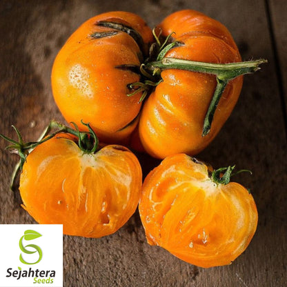 Kellogg's Breakfast Tomato Seeds - 10+ Heirloom, Organic, Non-GMO & Rare