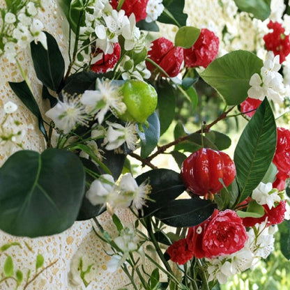 Surinam Cherry Tree – Eugenia uniflora Live Plant | 1 Foot Tall | Includes 6 Inch Nursery Pot  Tropical Star Cherry | Unique Ribbed Fruit | Edible Landscape Favorite