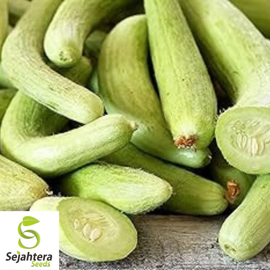 Armenian Yard Long Cucumber Seeds - 100+ Organic Heirloom - Non-GMO & Fresh