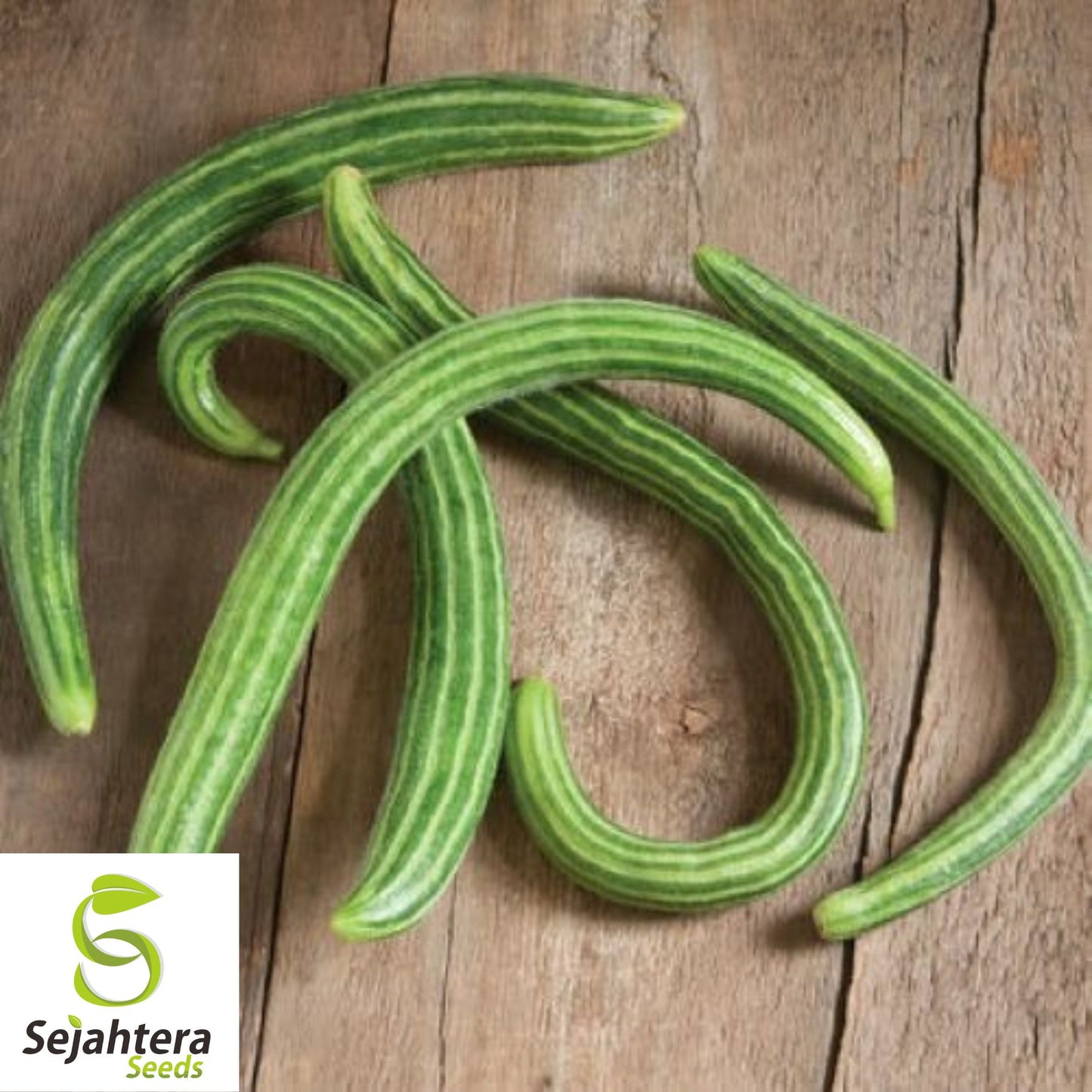 Armenian Yard Long Cucumber Seeds - 100+ Organic Heirloom - Non-GMO & Fresh