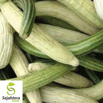 Armenian Yard Long Cucumber Seeds - 100+ Organic Heirloom - Non-GMO & Fresh