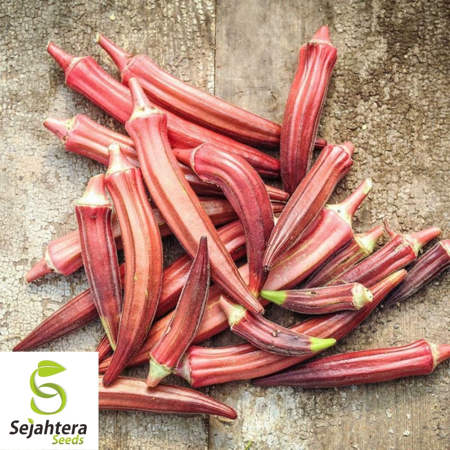 Okra Seeds Jing Orange 30 Ct | Asian Vegetable Heirloom NON-GMO USA