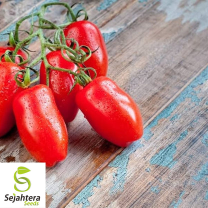 100 Rio Grande Tomato Seeds - Heirloom, Non-GMO, High-Yield Vegetable