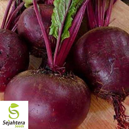 Bull's Blood Beet Seeds 100 Ct | NON-GMO Heirloom Vegetable Garden USA