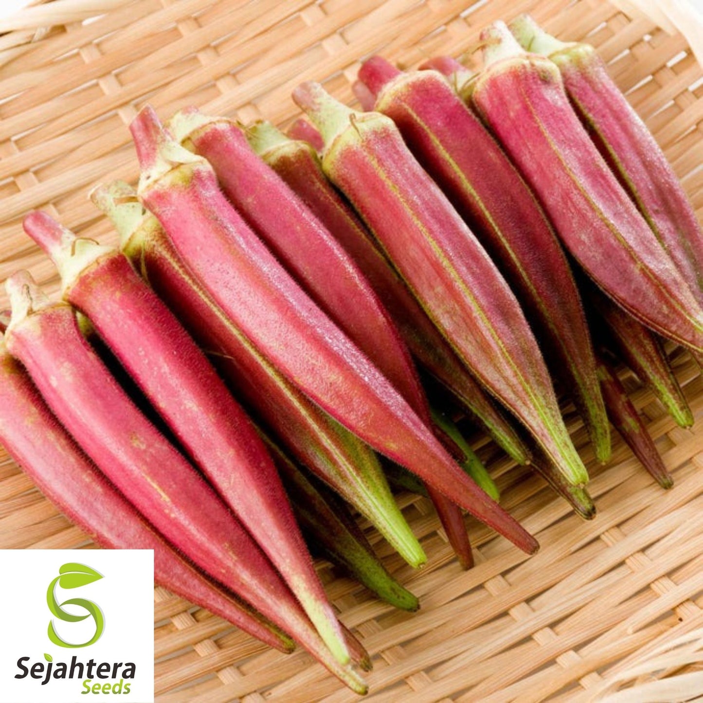 Okra Seeds Jing Orange 30 Ct | Asian Vegetable Heirloom NON-GMO USA