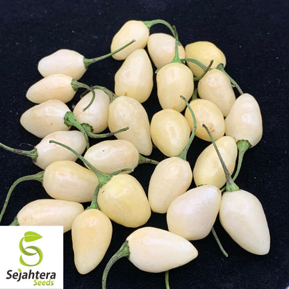 20 White Habanero Pepper Seeds - Non-GMO, Rare & Fiery Heirloom Variety