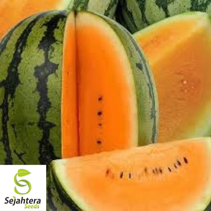 Orangeglo Watermelon Seeds - 10+ Non-GMO, Large, Sweet, 20-30 lb Fruits