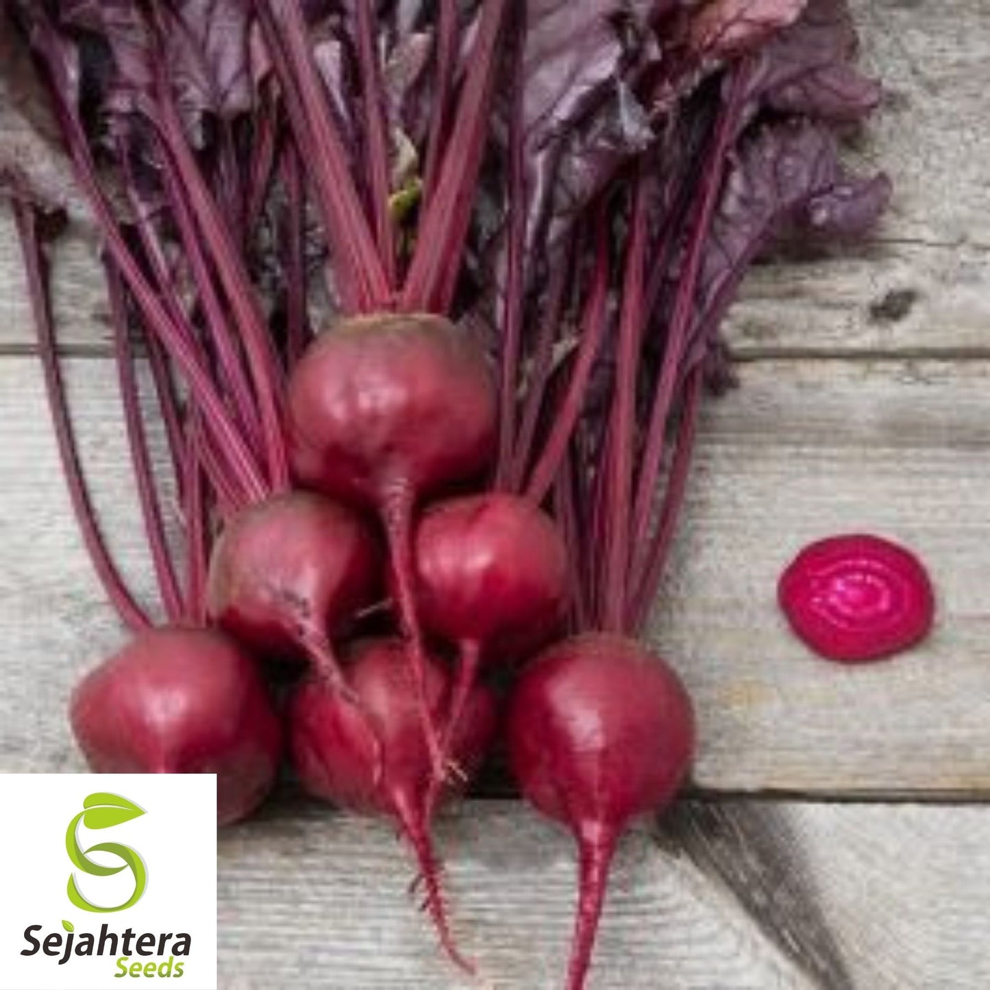 Bull's Blood Beet Seeds 100 Ct | NON-GMO Heirloom Vegetable Garden USA