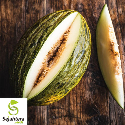 Piel de Sapo Melon Seeds 25+ | Sweet "Santa Claus" Fruit NON-GMO USA