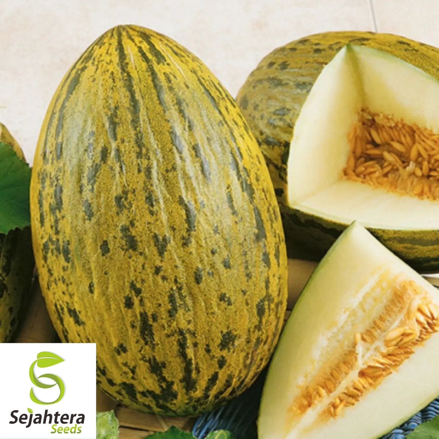 Piel de Sapo Melon Seeds 25+ | Sweet "Santa Claus" Fruit NON-GMO USA